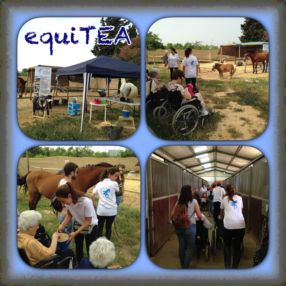 Fotografía Asociación Equitea 1
